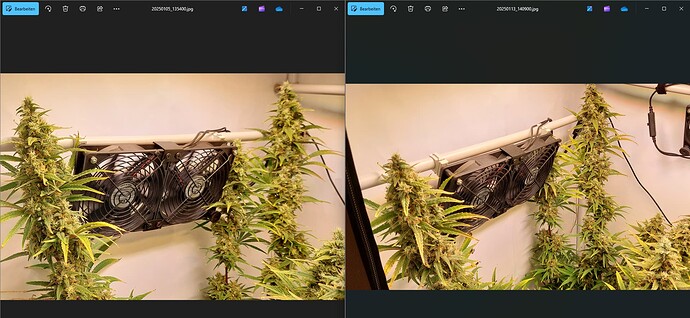 Growreport Bild 5
