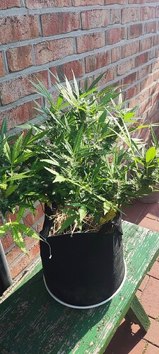 Screenshot_2024-08-15-21-50-17-704_com.miui.gallery