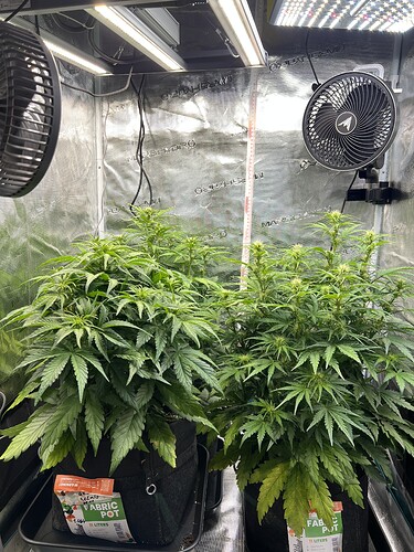 Growreport Bild 11