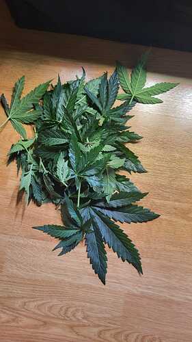 Growreport Bild 5