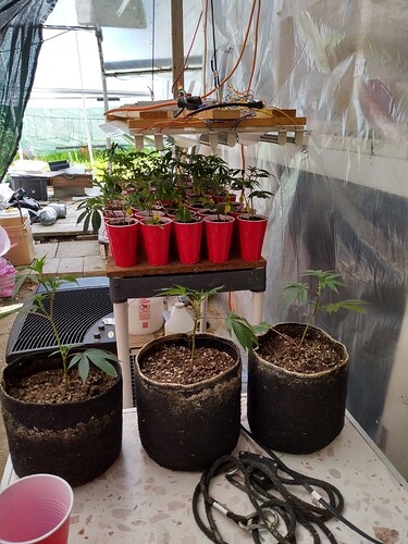 IMG_20240510_151716776_HDR