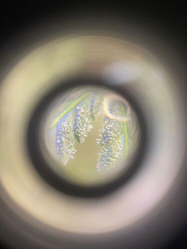 Growreport Bild 9