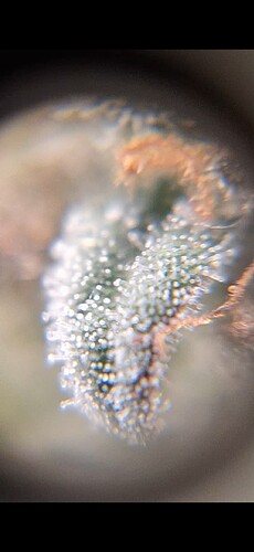 Growreport Bild 20