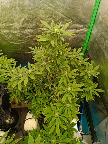 Growreport Bild 4