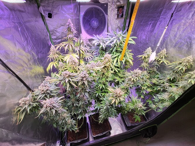 Growreport Bild 6