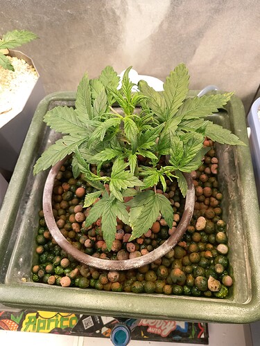 Growreport Bild 15
