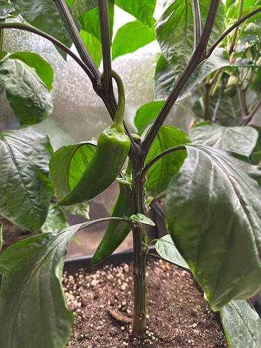 Growreport Bild 22