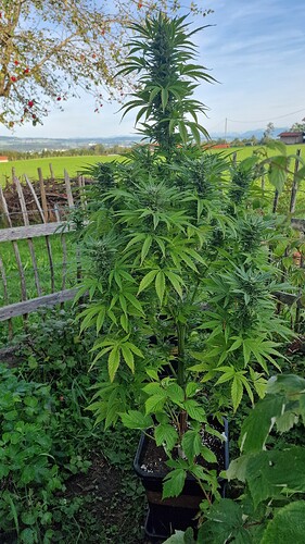Growreport Bild 14