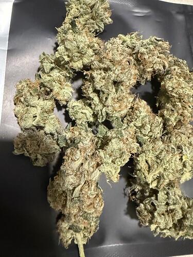 Growreport Bild 9