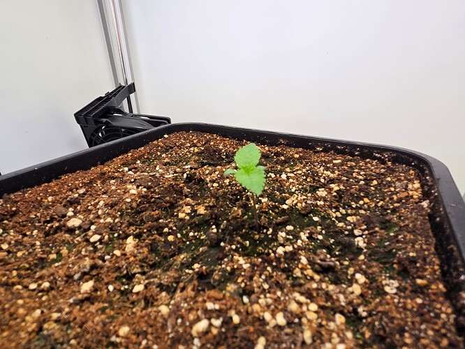 Growreport Bild 25
