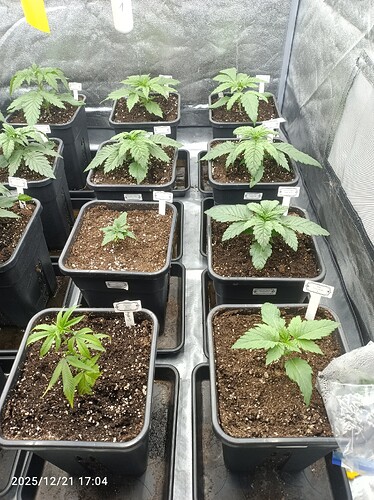 Growreport Bild 12