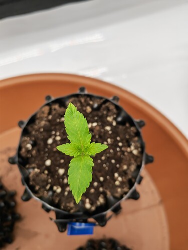Growreport Bild 20
