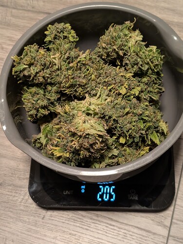 Growreport Bild 14