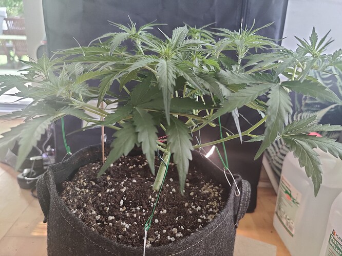 3_LST_side