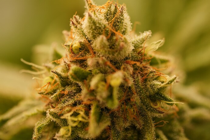 Growreport Bild 11