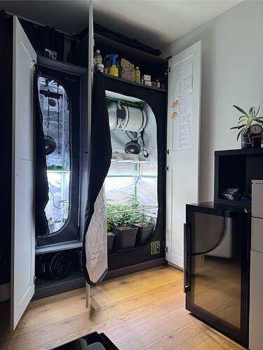 Growreport Bild 2