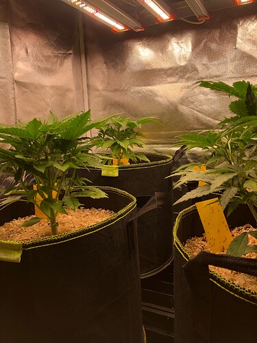 Growreport Bild 19