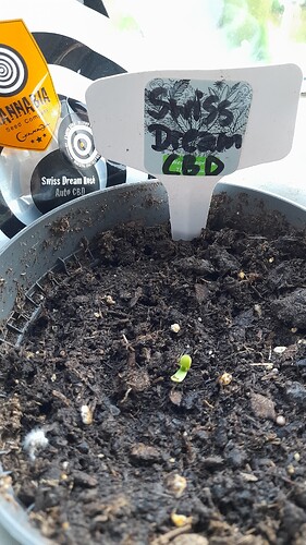 Growreport Bild 5