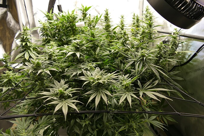 Übersicht_rechts_mitte_VT76BT29