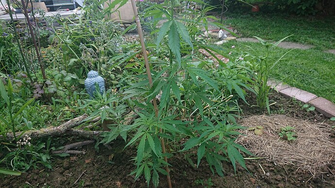 Growreport Bild 18
