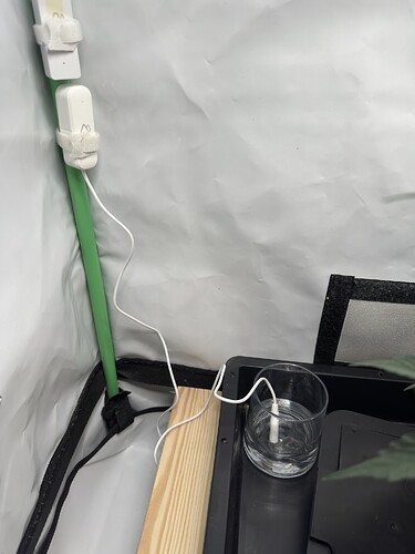 Growreport Bild 4