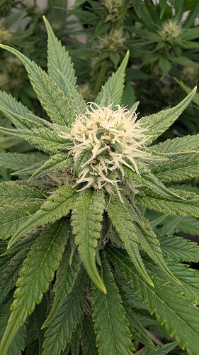 Growreport Bild 23