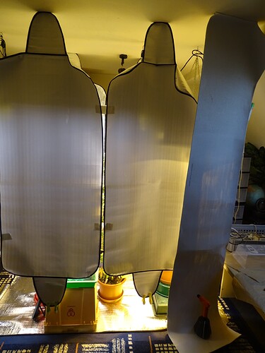 Growreport Bild 5