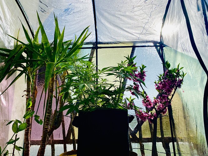 Growreport Bild 1