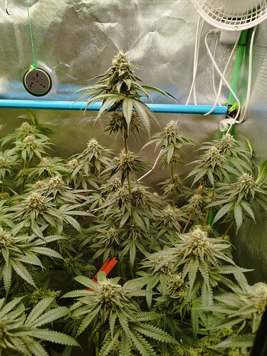 Growreport Bild 10