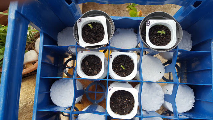 20260311_160901 - Kopie