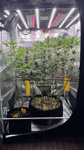 Growreport Bild 1