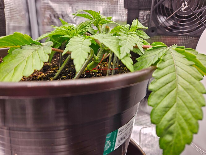 Growreport Bild 22