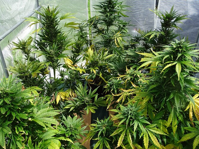 Growreport Bild 22