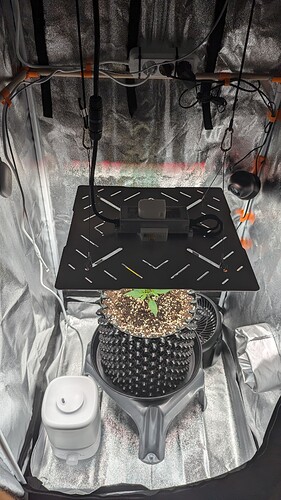 PXL_20240708_095254314.MP