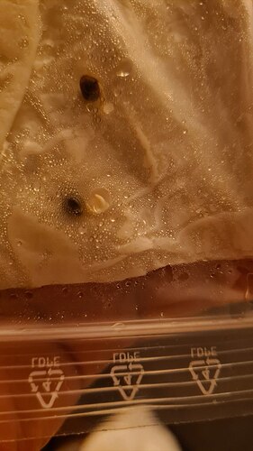 photo1713205688 (3)