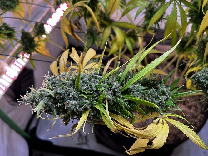 Growreport Bild 10