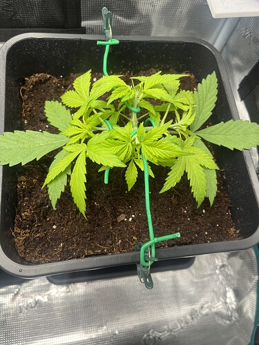 Growreport Bild 10