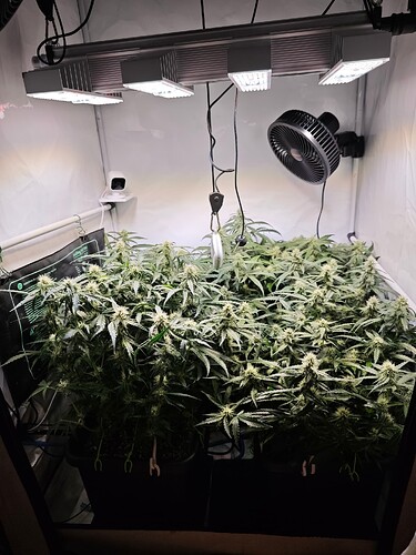 MVIMG_20251102_201251