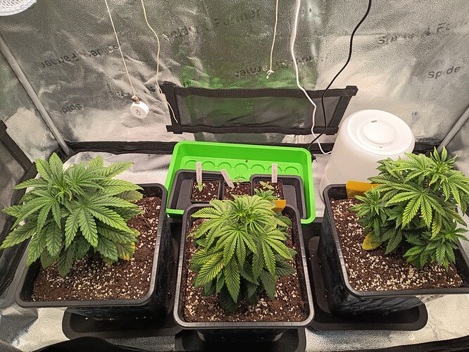 IMG_20240429_100547_467