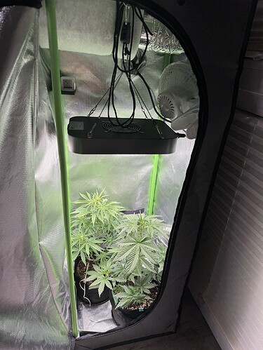 Growreport Bild 1