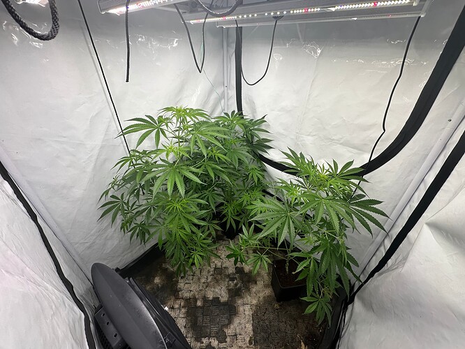 Growreport Bild 10