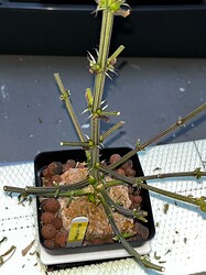Growreport Bild 3