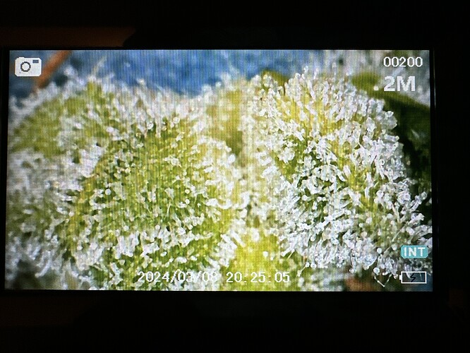 camphoto_351212254