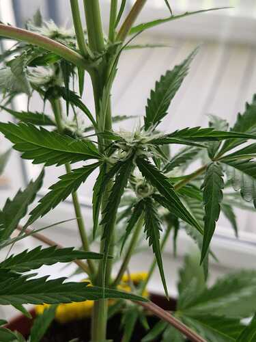 WhatsApp Image 2024-05-22 at 17.48.39 (3)