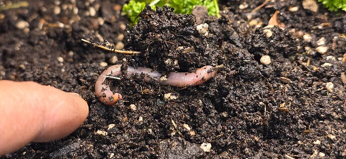 Growreport Bild 5