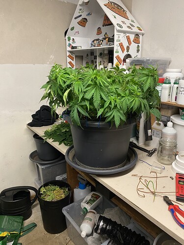 Growreport Bild 56
