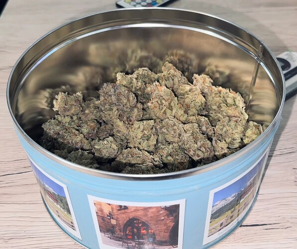 Growreport Bild 59