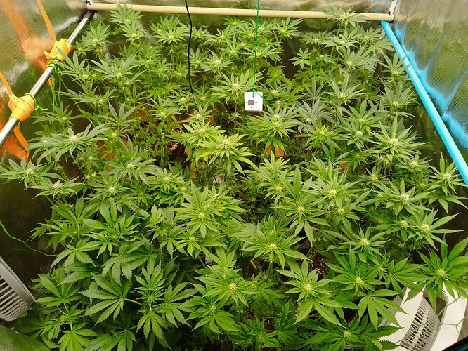 Growreport Bild 13