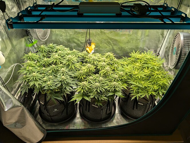 Growreport Bild 7