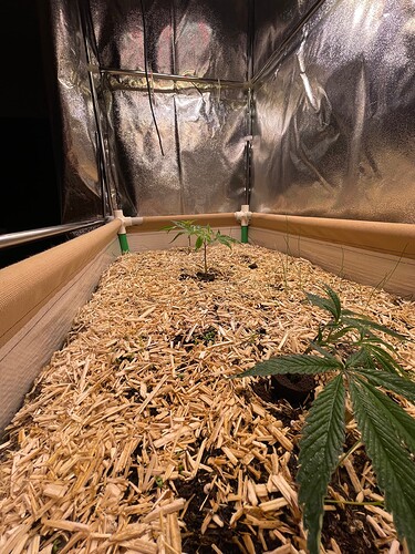 Growreport Bild 18
